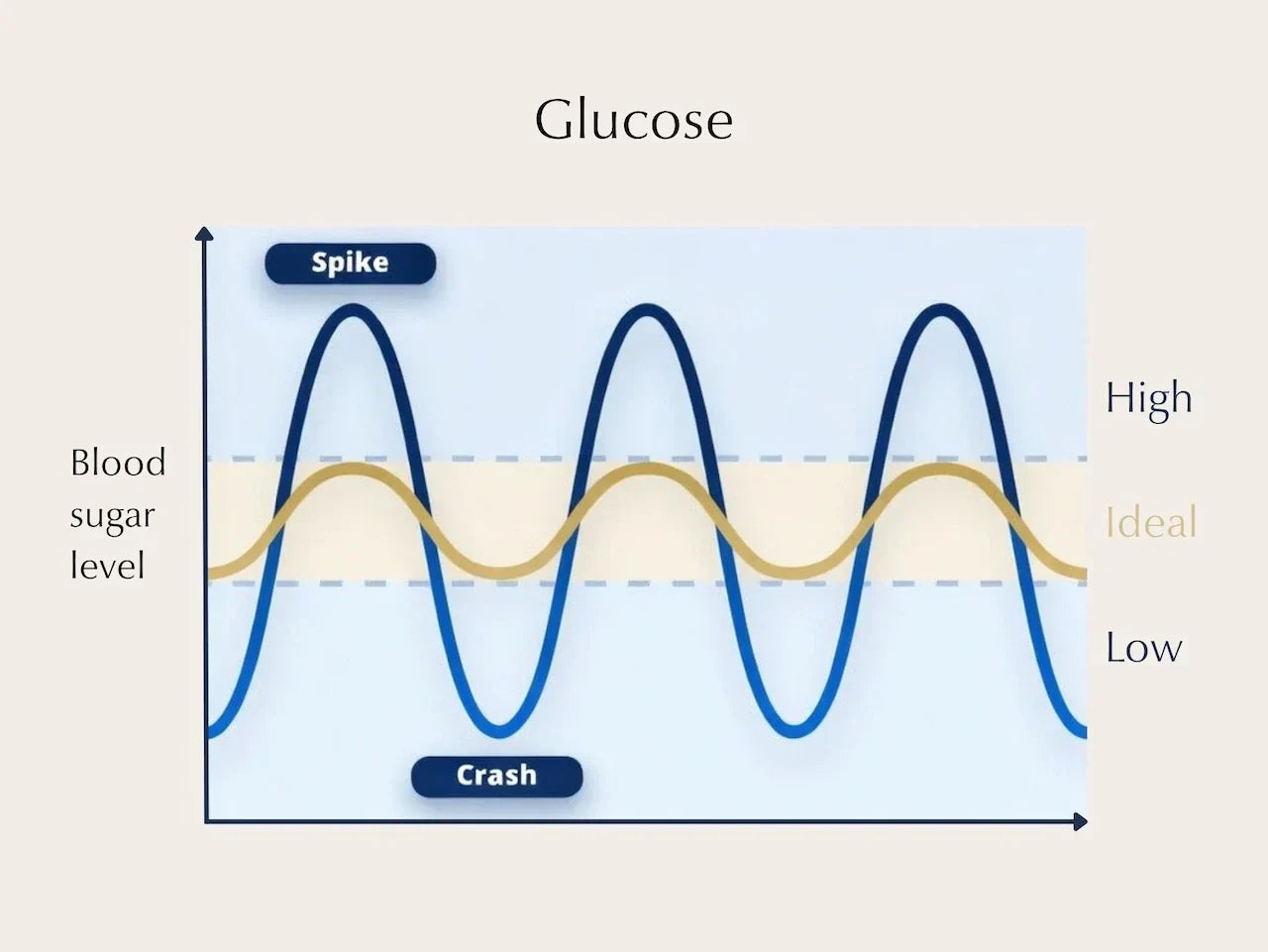 Glucose and Sleep: How Blood Sugar Affects Your Sleep (and Vice Versa) – 2026 Guide
