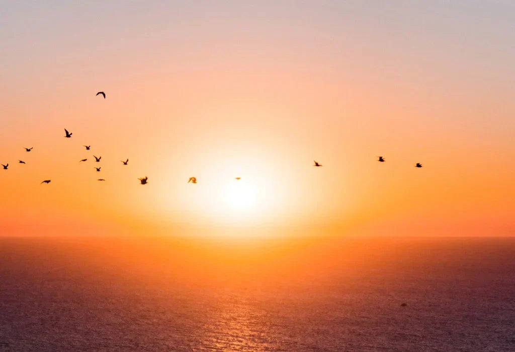 Moonchild® Sustainable Silk Pillowcase