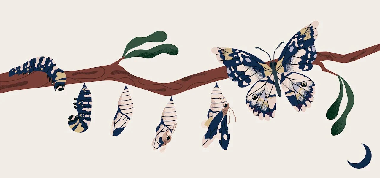 Moonchild® Sustainable Silk Pillowcase