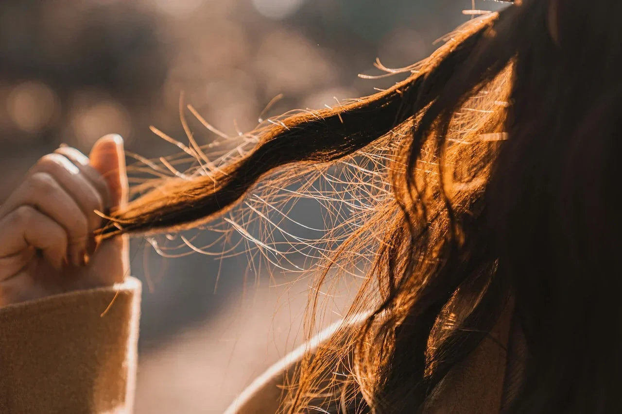 What Causes Split Ends and How to Prevent Them: The Complete 2026 Guide