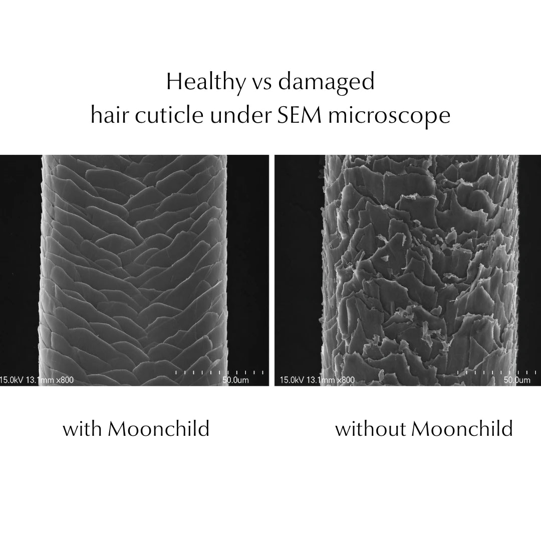 healthy vs damaged hair cuticle layer under microscope