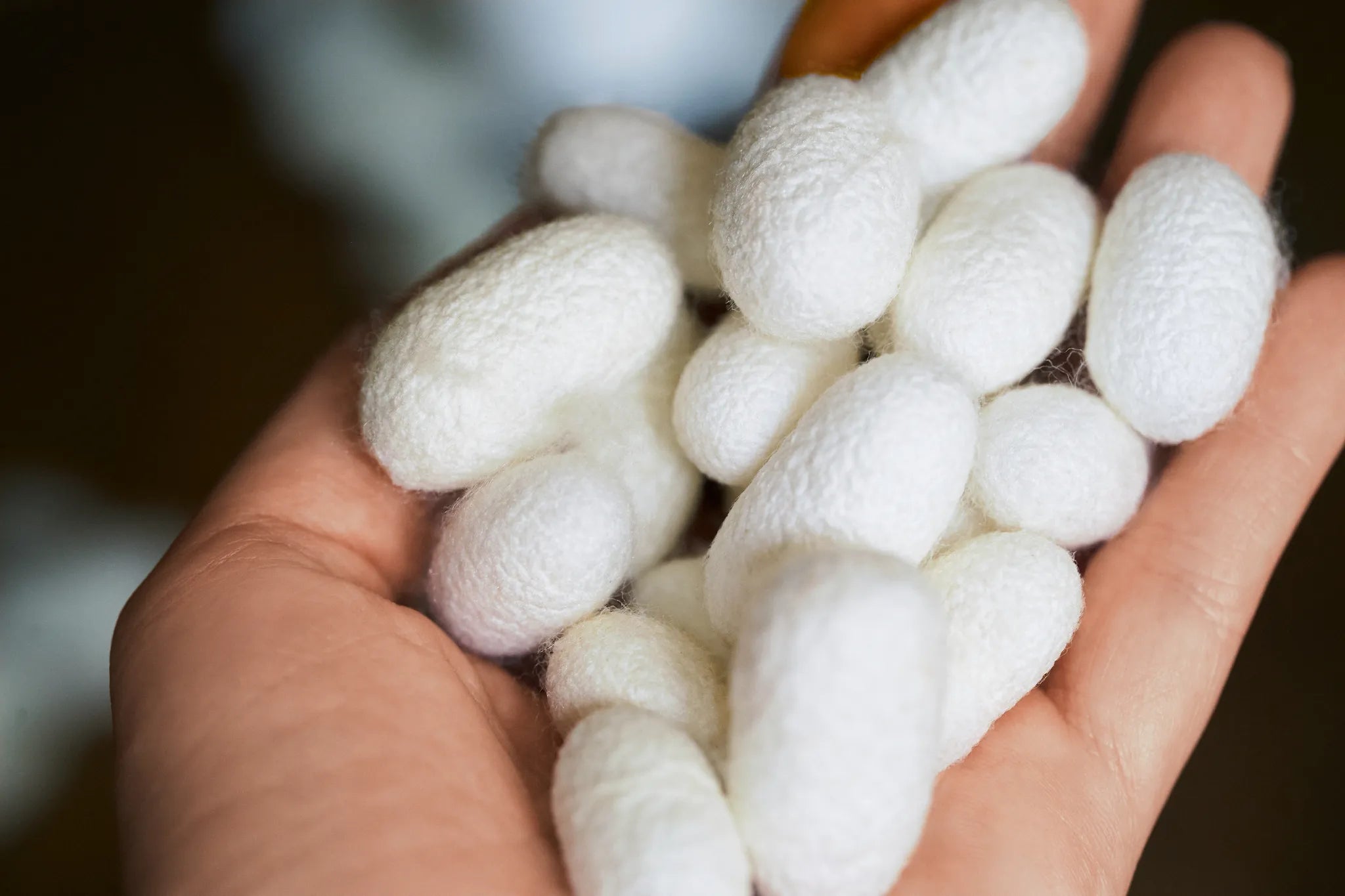 Moonchild® Sustainable Silk Pillowcase